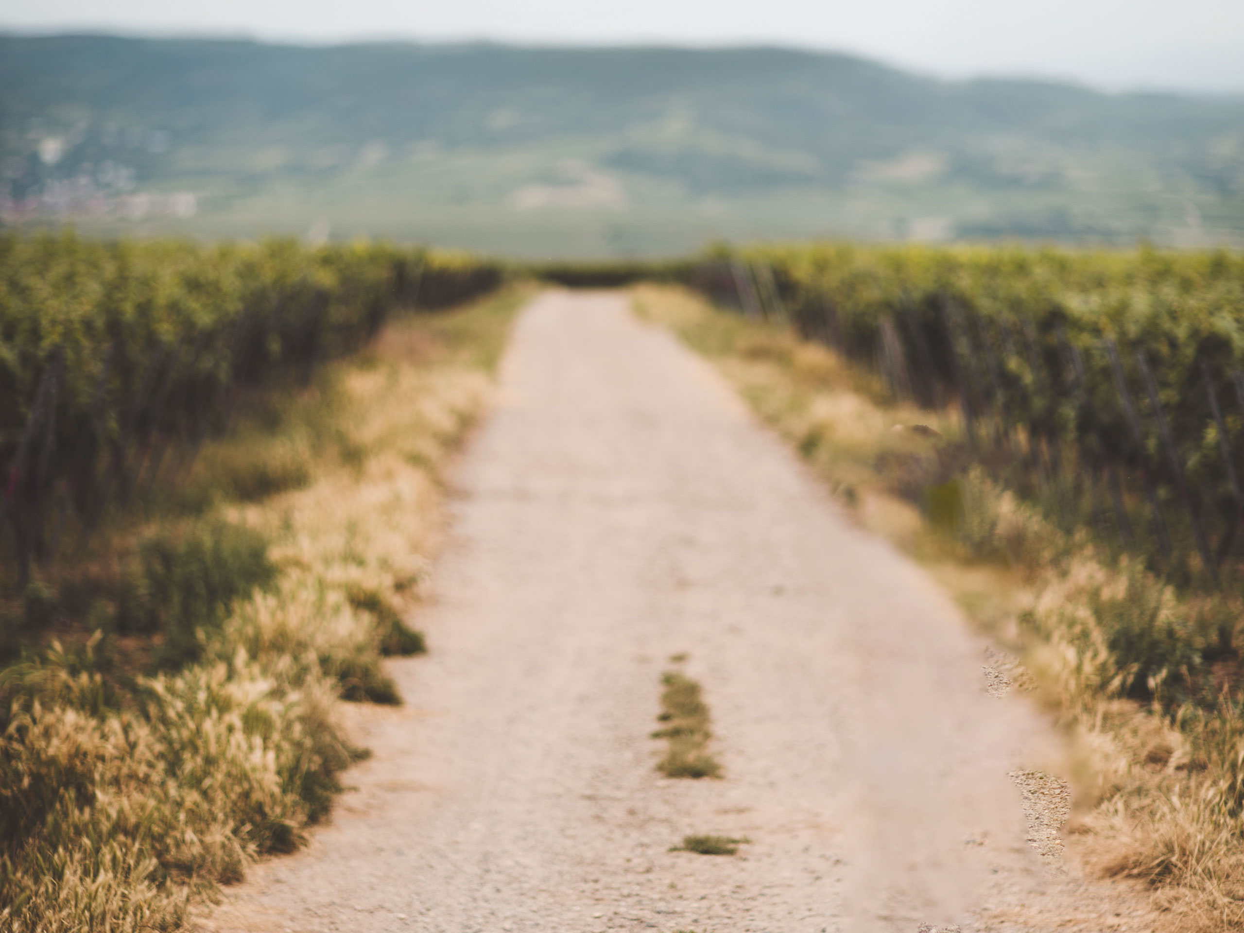 ONLY Pilates Studio – EVENTS