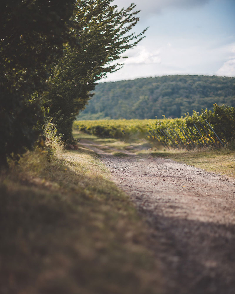 Stretch & Sip - Pilates & Brunch auf dem Kloppberg